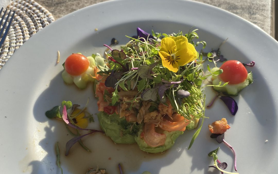 Food is your medicine .